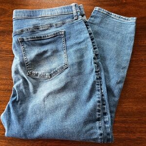 Wonderly Light Blue Skinny Jeans size 18W